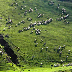 عکس - جاده خلخال – اسالم رویایی ترین جاده جنگلی کشور